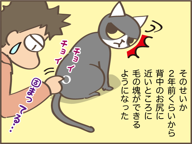 猫の背中に毛の塊が...！ 一瞬で解消できた便利アイテム／しまえもん（1）
