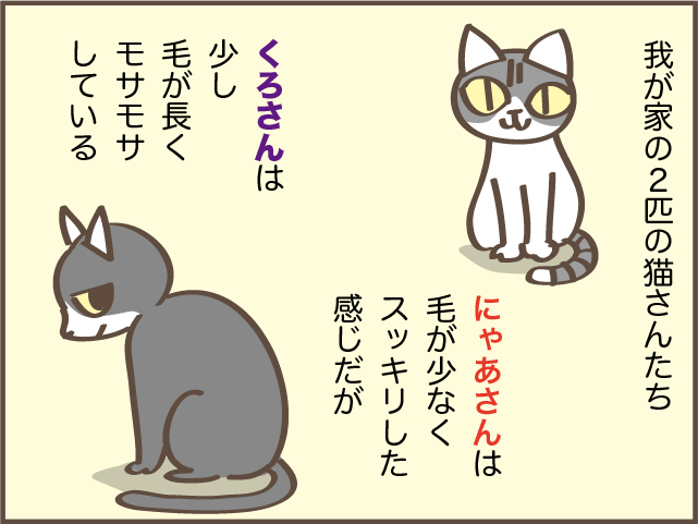 猫の背中に毛の塊が...！ 一瞬で解消できた便利アイテム／しまえもん（2）