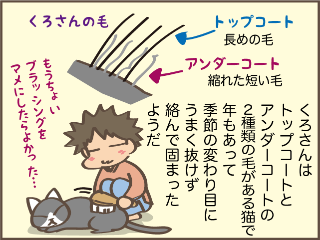 猫の背中に毛の塊が...！ 一瞬で解消できた便利アイテム／しまえもん（4）