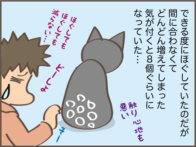 猫の背中に毛の塊が...！ 一瞬で解消できた便利アイテム／しまえもん（5）