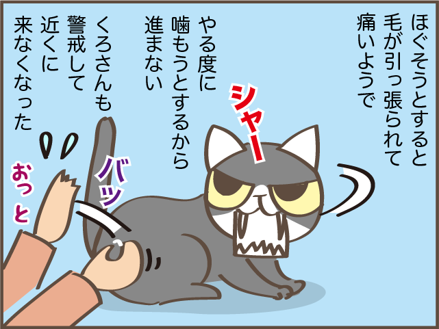 猫の背中に毛の塊が...！ 一瞬で解消できた便利アイテム／しまえもん（6）