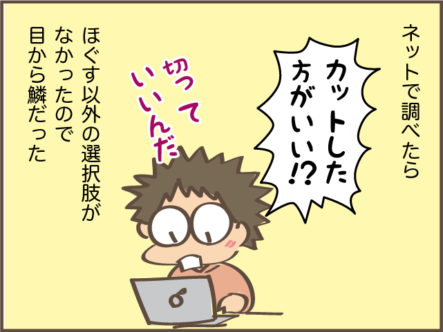 猫の背中に毛の塊が...！ 一瞬で解消できた便利アイテム／しまえもん（7）