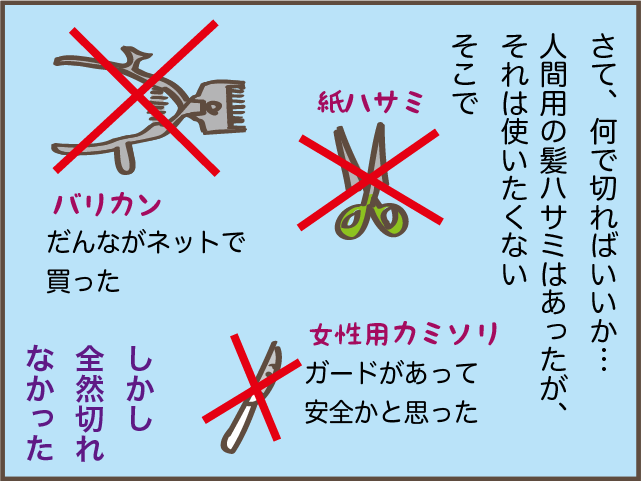 猫の背中に毛の塊が...！ 一瞬で解消できた便利アイテム／しまえもん（8）