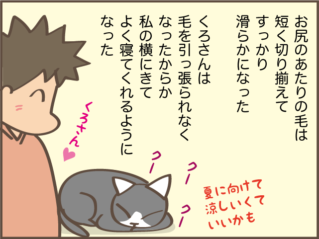 猫の背中に毛の塊が...！ 一瞬で解消できた便利アイテム／しまえもん（10）