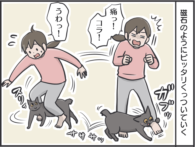 猫は人を選んで甘える。え？ 鳴き声からして違わない？／フニャコ（5）
