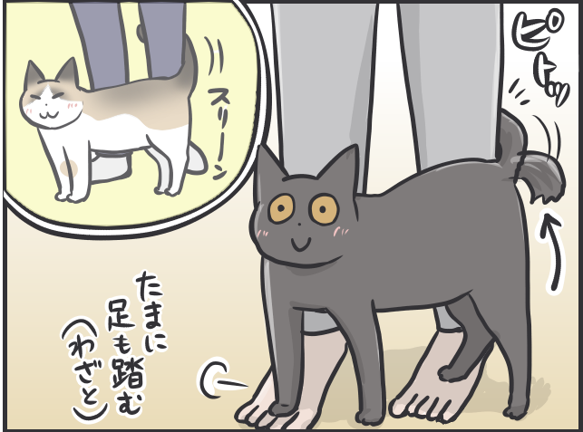 猫は人を選んで甘える。え？ 鳴き声からして違わない？／フニャコ（6）