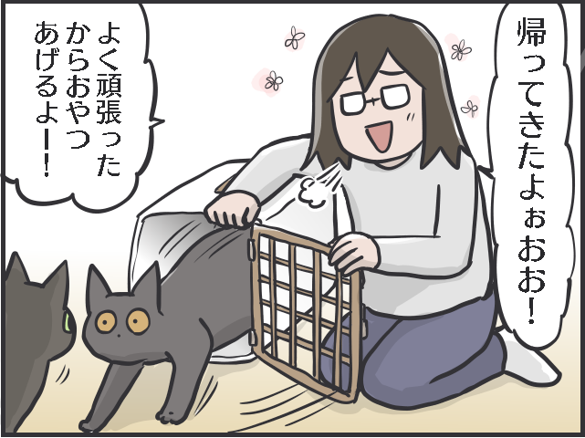 頭を悩ませる「猫の投薬事情」。フードの中に隠してもバレバレで...／フニャコ（2）