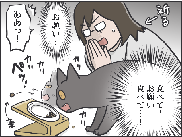 頭を悩ませる「猫の投薬事情」。フードの中に隠してもバレバレで...／フニャコ（3）