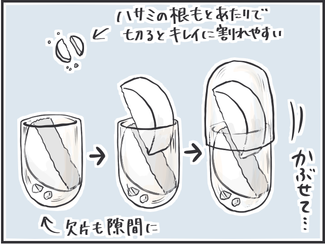 頭を悩ませる「猫の投薬事情」。フードの中に隠してもバレバレで...／フニャコ（5）