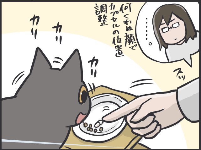 頭を悩ませる「猫の投薬事情」。フードの中に隠してもバレバレで...／フニャコ（7）
