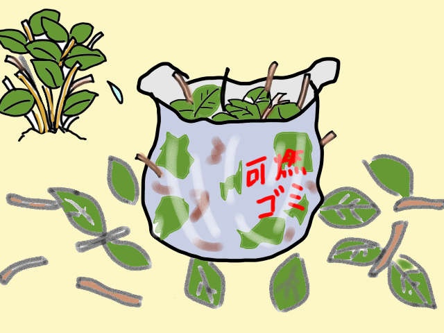あぁ...楽しみにしてたあじさいが...！ 庭木の手入れが趣味だった義父が無茶した結果／山田あしゅら（8）