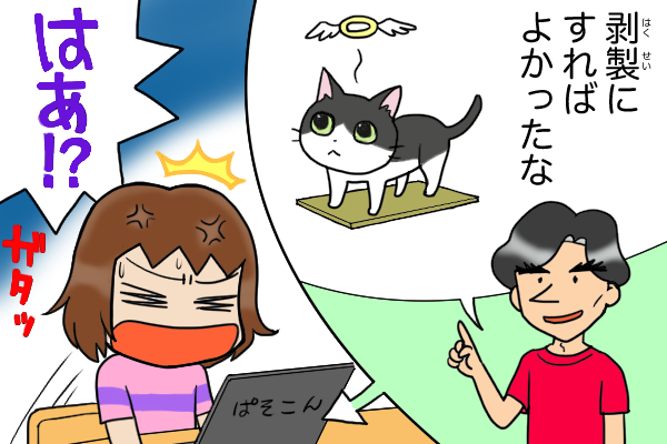死んだ愛猫を「剝製にでもすればよかったな」!? 元夫から送られてきた理解不能のメッセージ／くるぴた（1）
