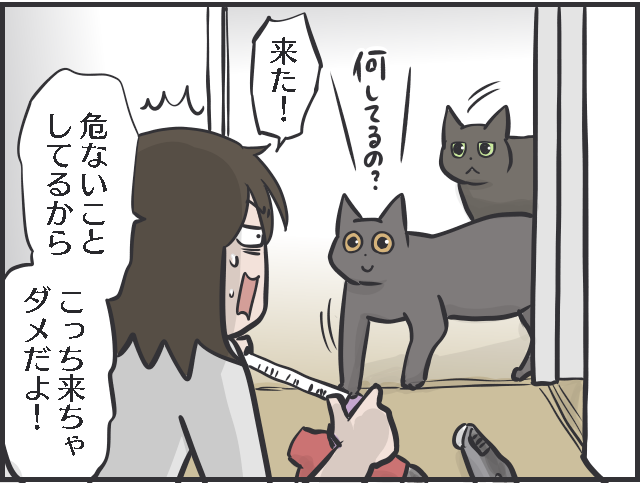 猫が自由に行き来できる小さな通路「ペットドア」を自力で設置してみた！／フニャコ（4）