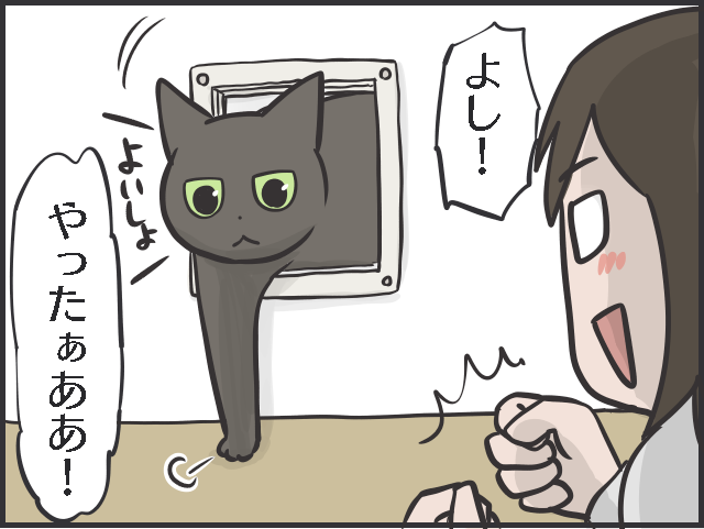 猫が自由に行き来できる小さな通路「ペットドア」を自力で設置してみた！／フニャコ（8）