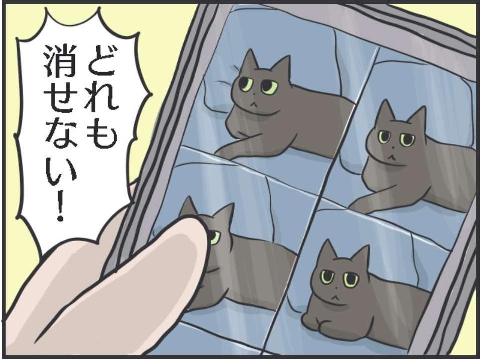 1万4000枚の猫写真、増えていく猫グッズ...猫好きあるある5選。あなたはいくつ当てはまる？／フニャコ（1）