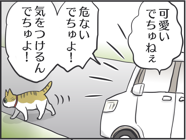 1万4000枚の猫写真、増えていく猫グッズ...猫好きあるある5選。あなたはいくつ当てはまる？／フニャコ（3）
