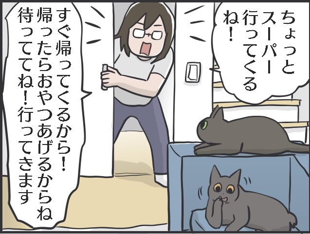 1万4000枚の猫写真、増えていく猫グッズ...猫好きあるある5選。あなたはいくつ当てはまる？／フニャコ（4）