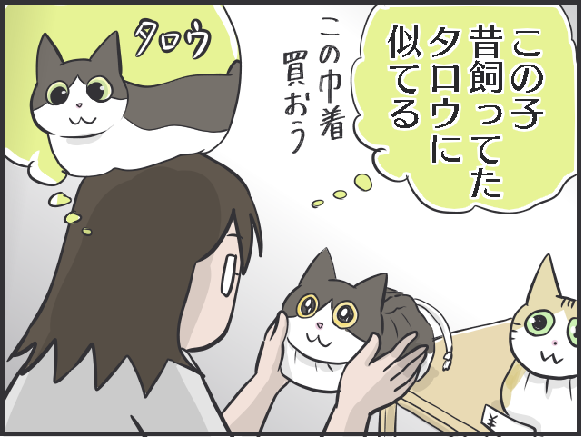 1万4000枚の猫写真、増えていく猫グッズ...猫好きあるある5選。あなたはいくつ当てはまる？／フニャコ（5）