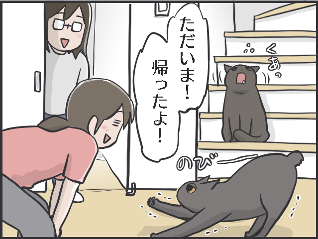 1万4000枚の猫写真、増えていく猫グッズ...猫好きあるある5選。あなたはいくつ当てはまる？／フニャコ（7）