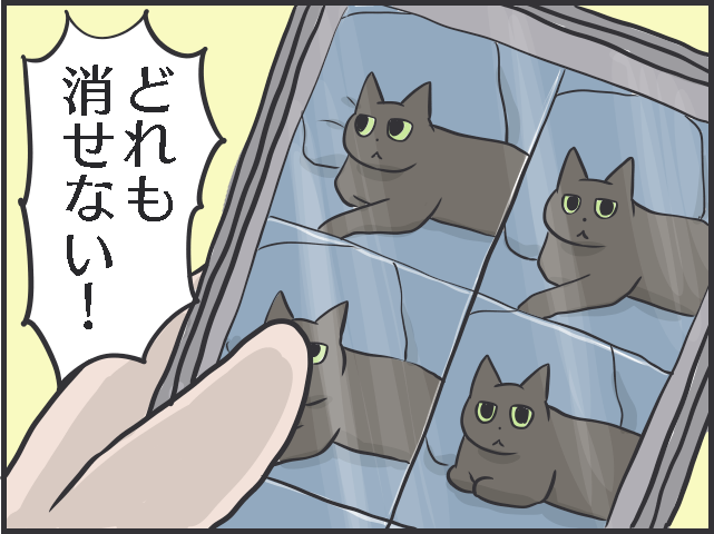 1万4000枚の猫写真、増えていく猫グッズ...猫好きあるある5選。あなたはいくつ当てはまる？／フニャコ（8）