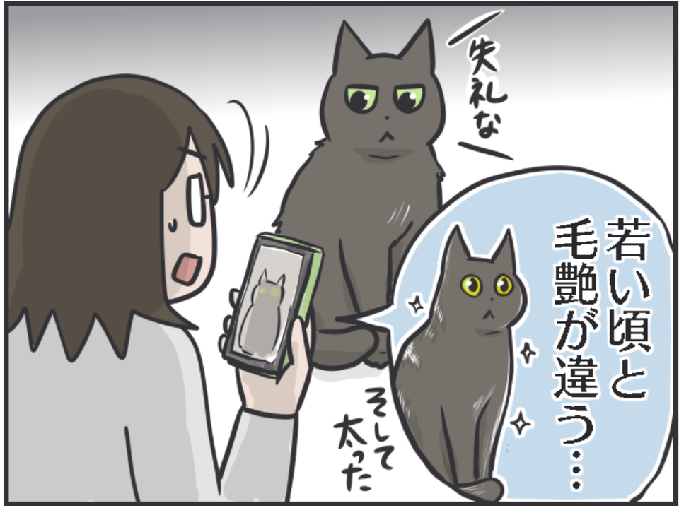 愛猫の「衰え」が気になるように。子猫の時期と比べるとスミちゃん、やっぱり老けた...？／フニャコ（1）