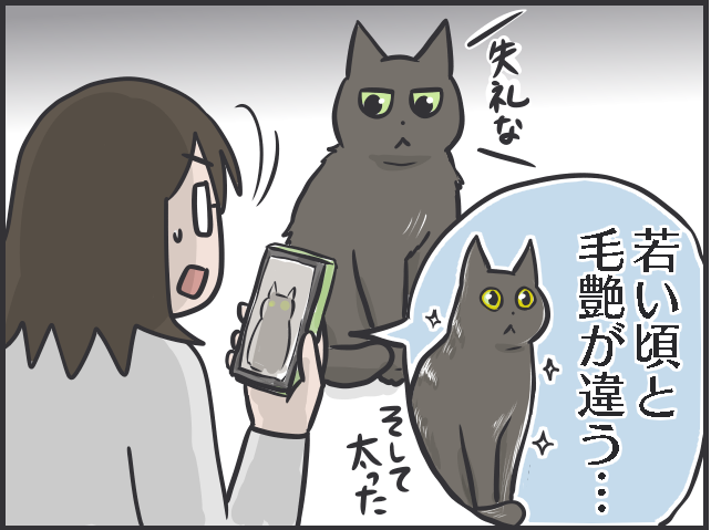 愛猫の「衰え」が気になるように。子猫の時期と比べるとスミちゃん、やっぱり老けた...？／フニャコ（3）