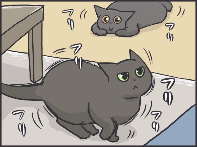 愛猫の「衰え」が気になるように。子猫の時期と比べるとスミちゃん、やっぱり老けた...？／フニャコ（4）