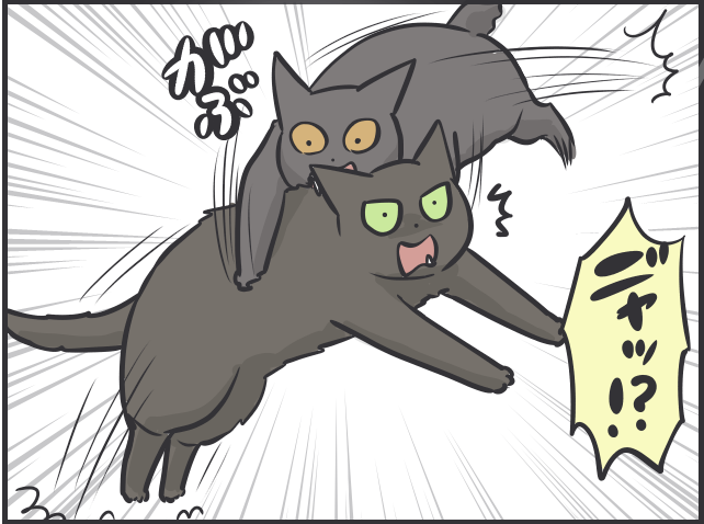 愛猫の「衰え」が気になるように。子猫の時期と比べるとスミちゃん、やっぱり老けた...？／フニャコ（5）