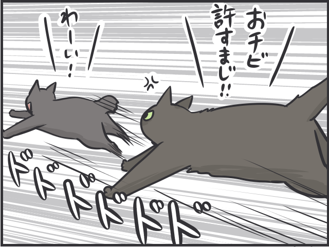 愛猫の「衰え」が気になるように。子猫の時期と比べるとスミちゃん、やっぱり老けた...？／フニャコ（6）