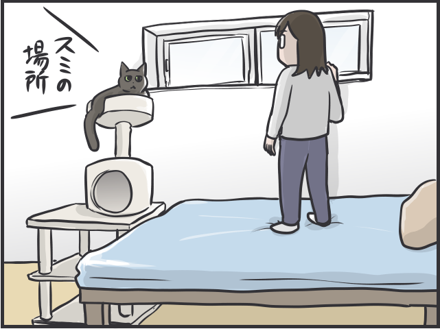 愛猫の「衰え」が気になるように。子猫の時期と比べるとスミちゃん、やっぱり老けた...？／フニャコ（7）