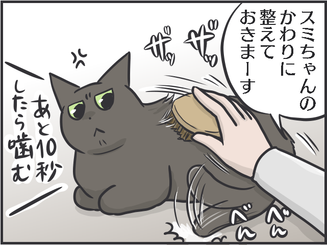 愛猫の「衰え」が気になるように。子猫の時期と比べるとスミちゃん、やっぱり老けた...？／フニャコ（8）