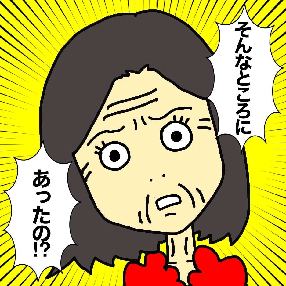 認知症母の「物盗られ妄想」が大変！ 老人ホームのスタッフさんまで疑いだして...／ワフウフ（4）