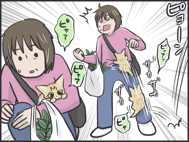 21年生きた老猫のクロ。もう猫は飼わないと決めていた母なのに...。出会いはある日突然に／フニャコ（3）