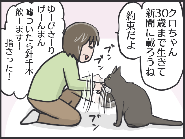 21年生きた老猫のクロ。もう猫は飼わないと決めていた母なのに...。出会いはある日突然に／フニャコ（5）