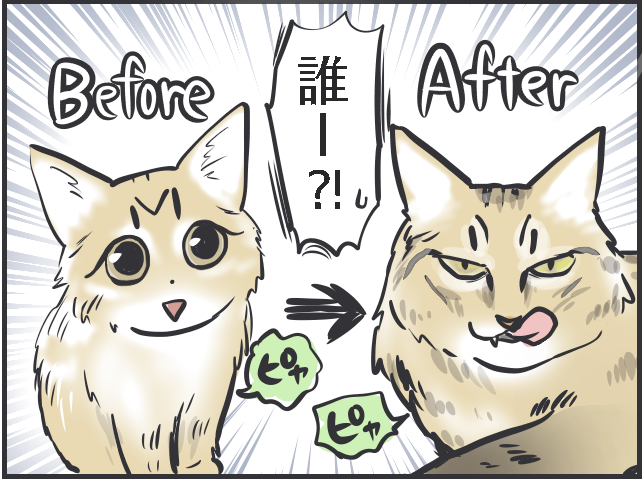 21年生きた老猫のクロ。もう猫は飼わないと決めていた母なのに...。出会いはある日突然に／フニャコ（6）