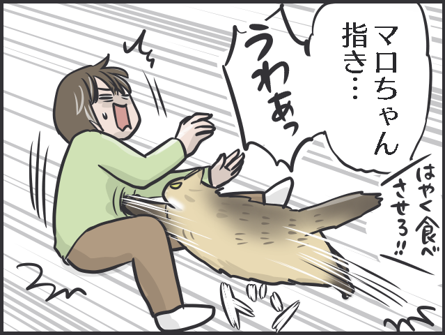 21年生きた老猫のクロ。もう猫は飼わないと決めていた母なのに...。出会いはある日突然に／フニャコ（7）