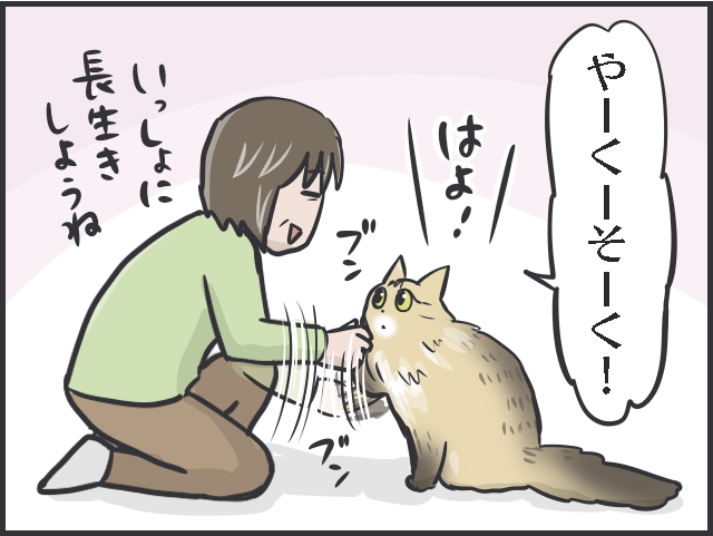21年生きた老猫のクロ。もう猫は飼わないと決めていた母なのに...。出会いはある日突然に／フニャコ（8）