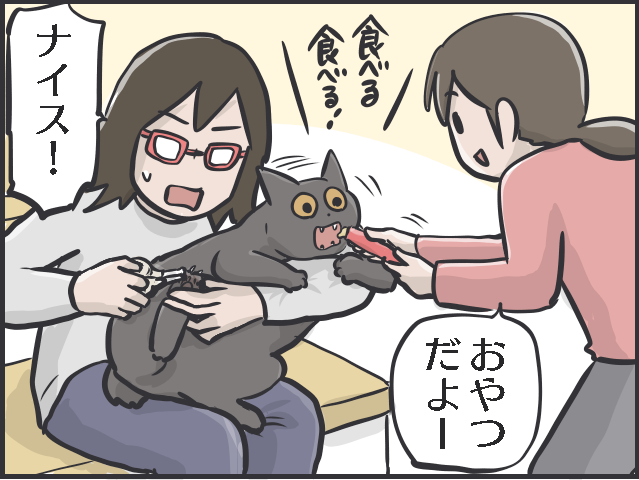 「猫の爪切り」我が家の最新戦法は...？ 試行錯誤でたどり着いた2人のコンビネーション／フニャコ（1）