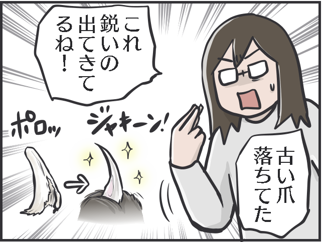 「猫の爪切り」我が家の最新戦法は...？ 試行錯誤でたどり着いた2人のコンビネーション／フニャコ（3）
