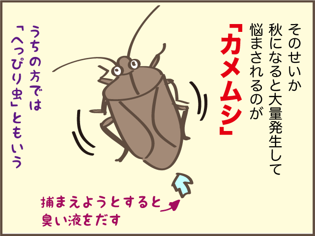  都会の人は知らない!? 田舎出身だからこそ身についた「独特のスキル」／しまえもん（3）