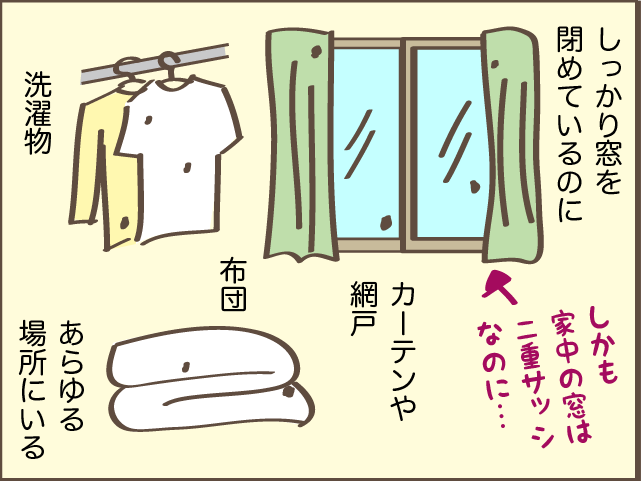  都会の人は知らない!? 田舎出身だからこそ身についた「独特のスキル」／しまえもん（4）