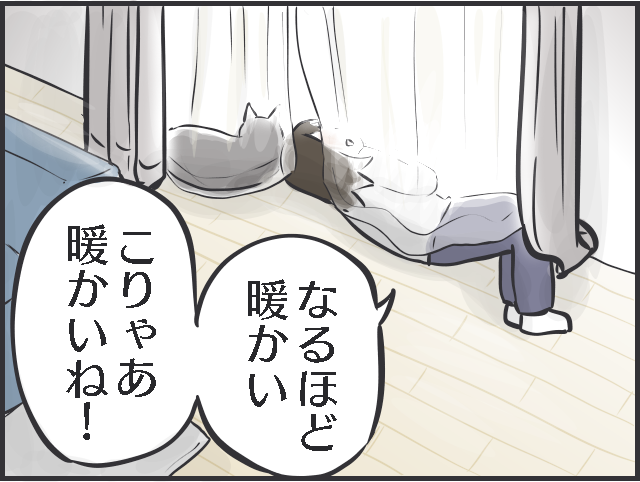 抱っこNGな愛猫が膝の上に...冬限定の「あったか癒しタイム」にほっこり／フニャコ（3）