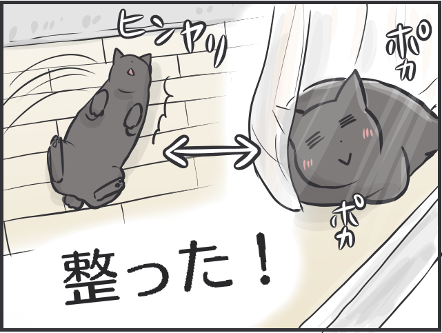 抱っこNGな愛猫が膝の上に...冬限定の「あったか癒しタイム」にほっこり／フニャコ（4）
