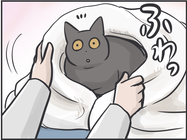 抱っこNGな愛猫が膝の上に...冬限定の「あったか癒しタイム」にほっこり／フニャコ（7）