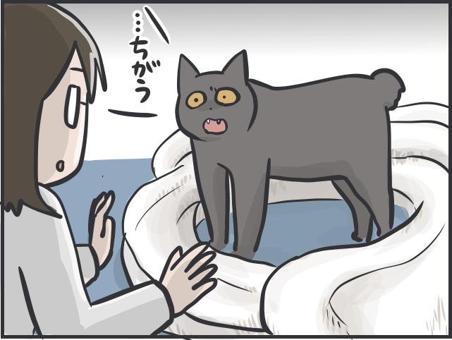 抱っこNGな愛猫が膝の上に...冬限定の「あったか癒しタイム」にほっこり／フニャコ（8）