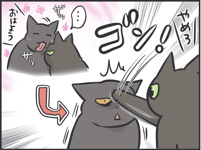 「どいて！そこはぼくの場所！」絶妙なバランスで成り立つ愛猫2匹の「複雑な上下関係」／フニャコ（2）