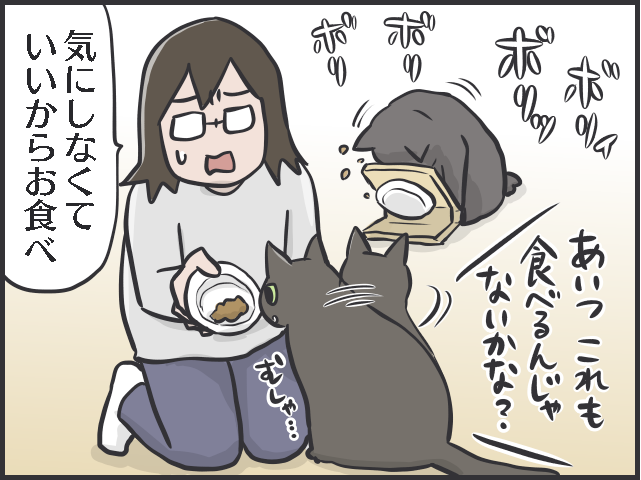 「どいて！そこはぼくの場所！」絶妙なバランスで成り立つ愛猫2匹の「複雑な上下関係」／フニャコ（3）