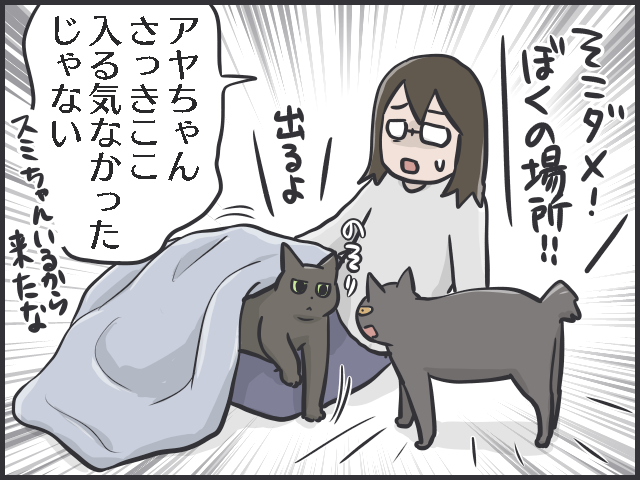 「どいて！そこはぼくの場所！」絶妙なバランスで成り立つ愛猫2匹の「複雑な上下関係」／フニャコ（5）