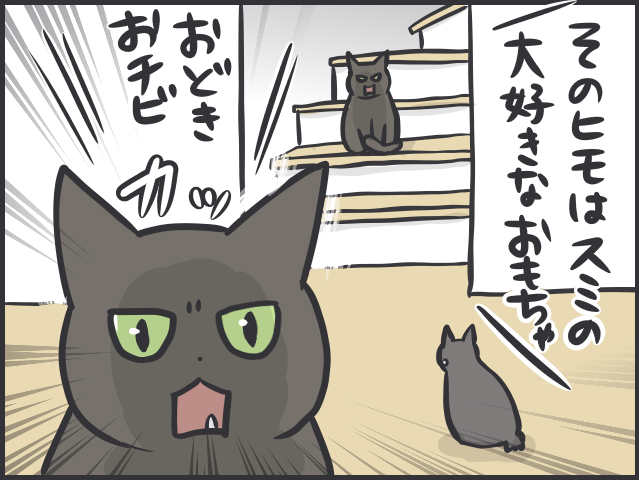 「どいて！そこはぼくの場所！」絶妙なバランスで成り立つ愛猫2匹の「複雑な上下関係」／フニャコ（7）
