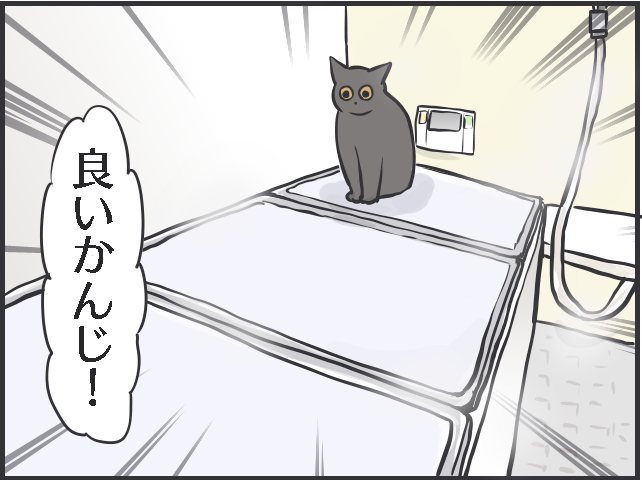 「猫は水が苦手」なはずでは...？入浴中にやってくる我が家の猫たち／フニャコ（3）